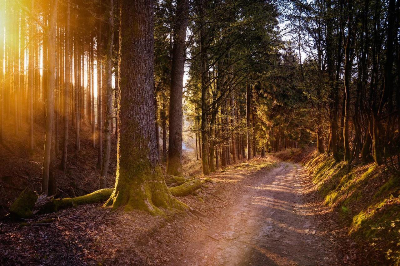 Ferienwohnung Am Waldweg Kaisersesch Kültér fotó